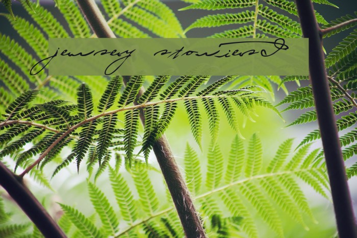 jersey stories! Example 1