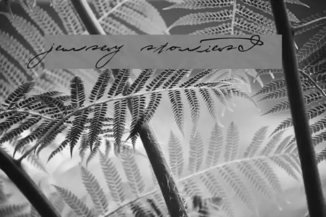 jersey stories! Font examples