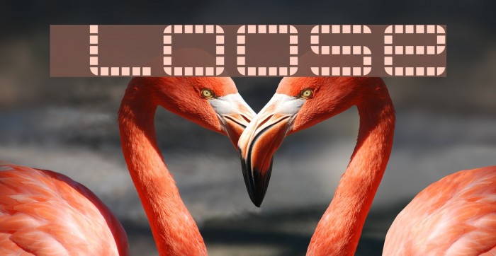 jethose LOOSE Schriftart examples