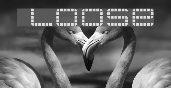 jethose LOOSE Schriftart examples