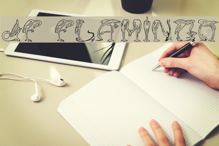 JF Flamingo Schriftart examples