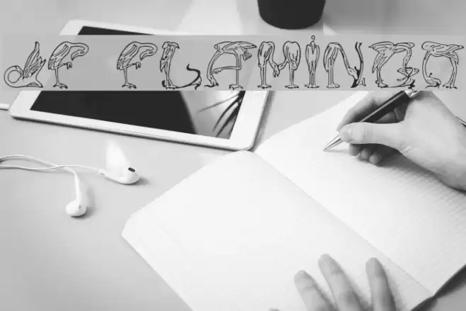 JF Flamingo フォント examples
