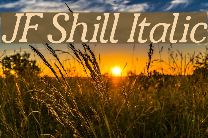 JF Shill Italic Font examples