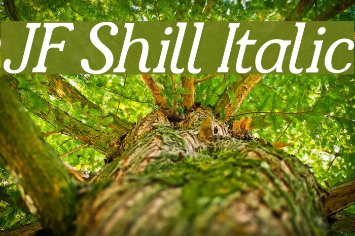 JF Shill Italic Font examples