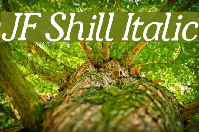 JF Shill Italic Example 3