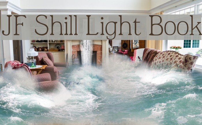JF Shill Light Book Font examples