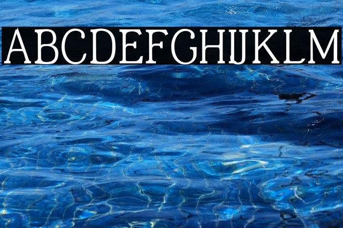 JF Shill Regular Example 3