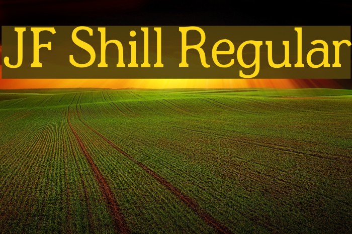 JF Shill Regular Example 1