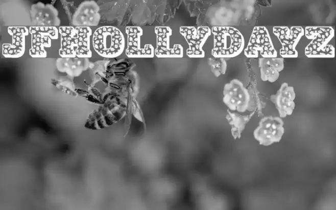 JFHollyDayz フォント examples