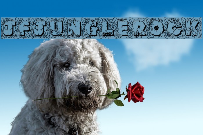 JFJungleRock Font examples