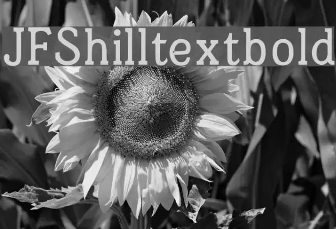 JFShilltextbold Font examples