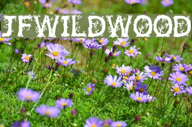 JFWildWood Example 1