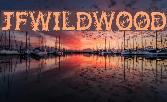 JFWildWood Example 3