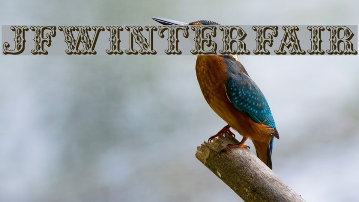 JFWinterFair Font examples