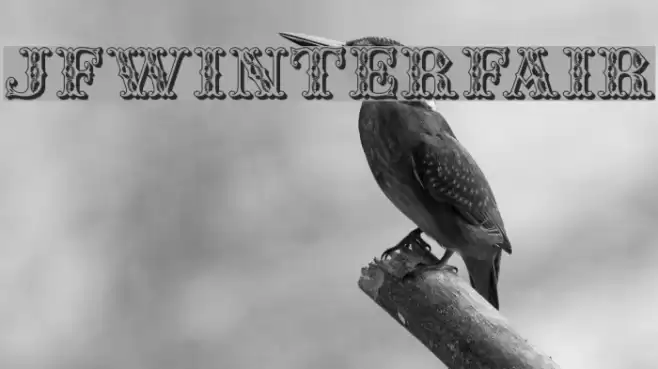 JFWinterFair Fonte examples