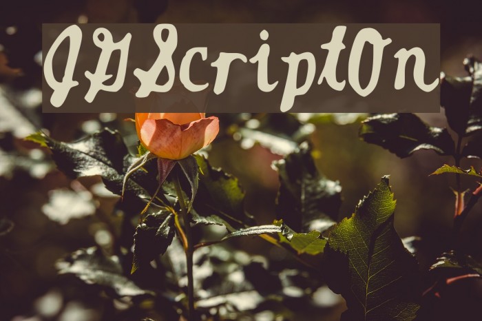 JGScriptOn Font examples