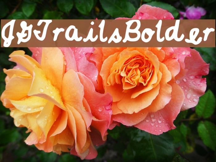 JGTrailsBolder Font examples