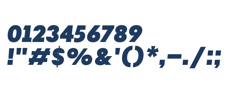 JHC Notion Heavy Italic Other Characters
