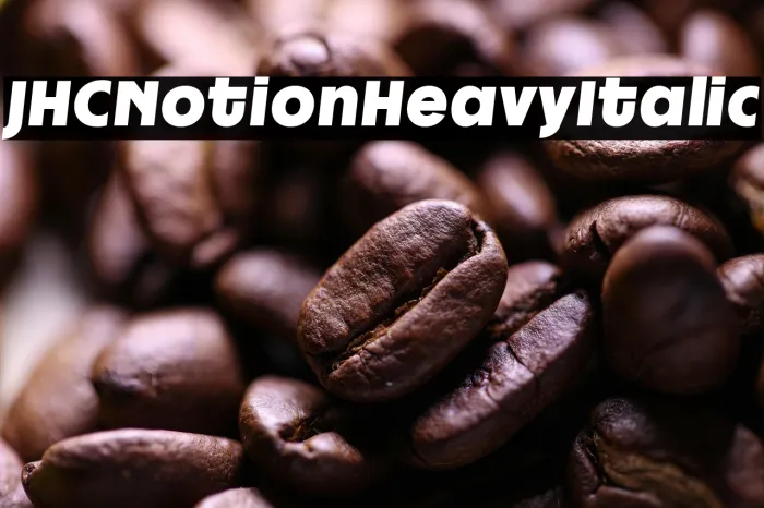 JHC Notion Heavy Italic Example 1