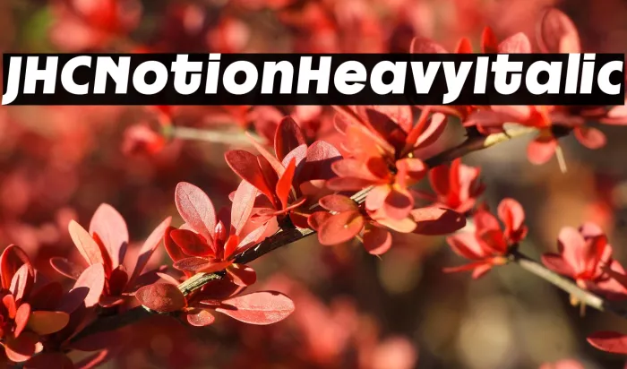 JHC Notion Heavy Italic Example 3