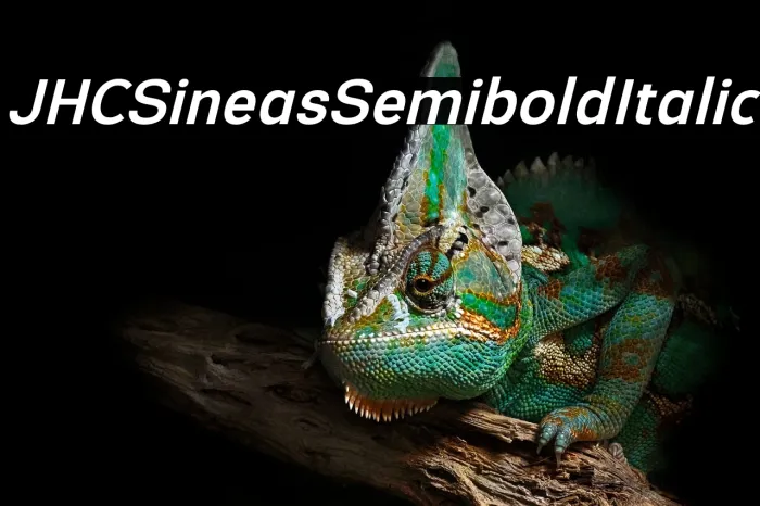 JHC Sineas Semibold Italic Example 1