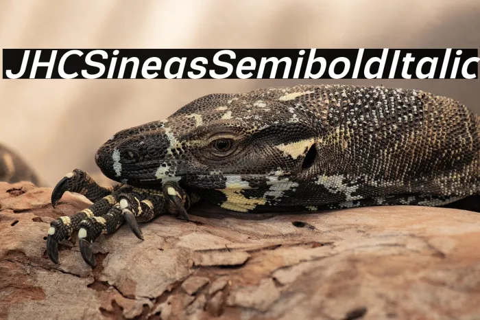 JHC Sineas Semibold Italic Example 3