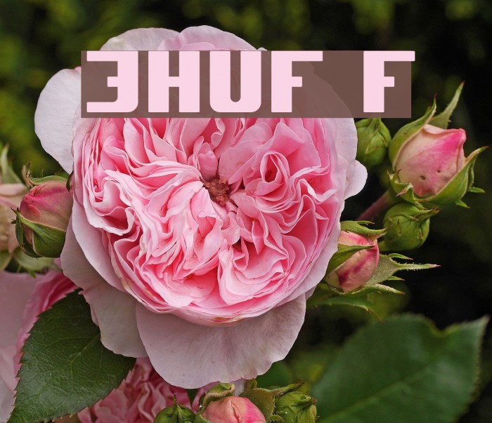 JHUF Font examples