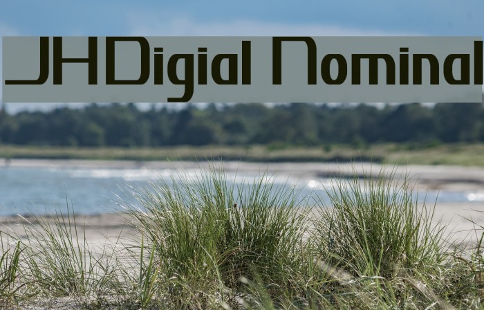 JH_Digital Nominal Font examples