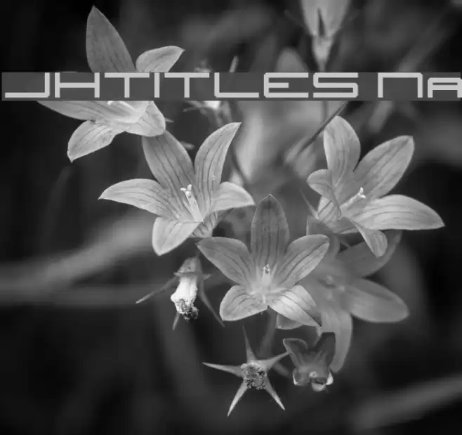 JH_TITLES Nominal Caratteri examples