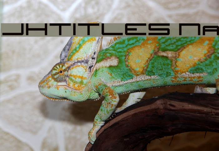 JH_TITLES Nominal Caratteri examples
