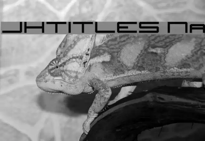 JH_TITLES Nominal Caratteri examples