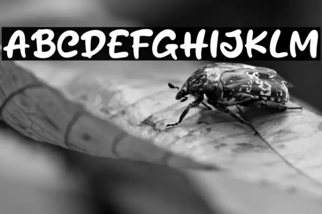 Jhal Muri Font examples