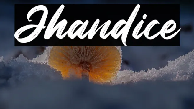 Jhandice Example 1