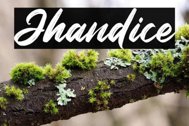 Jhandice Example 2