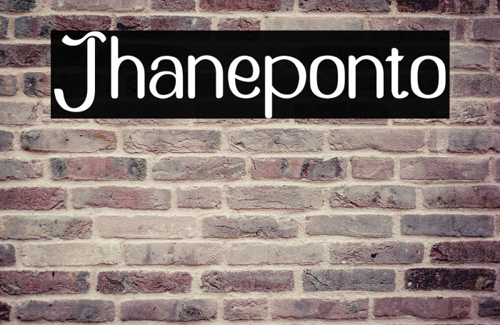 Jhaneponto Example 2