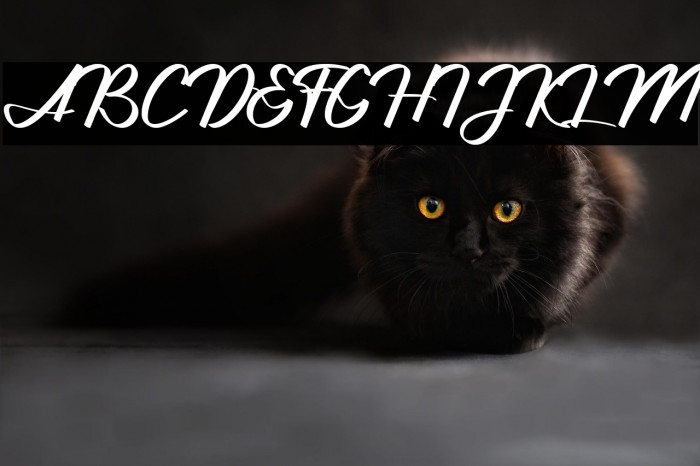 Jhanttan Personal Use Only Example 1