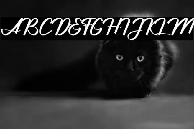 Jhanttan Personal Use Only Font examples