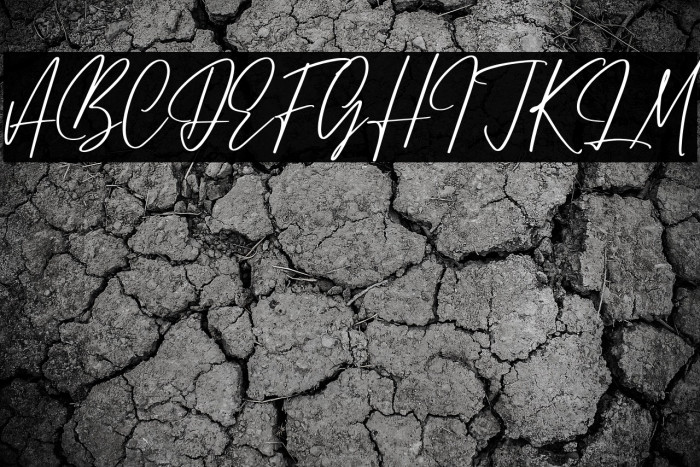 Jhenythan Cristian Example 3