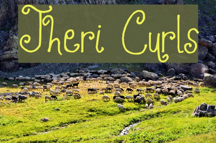 Jheri Curls Font examples