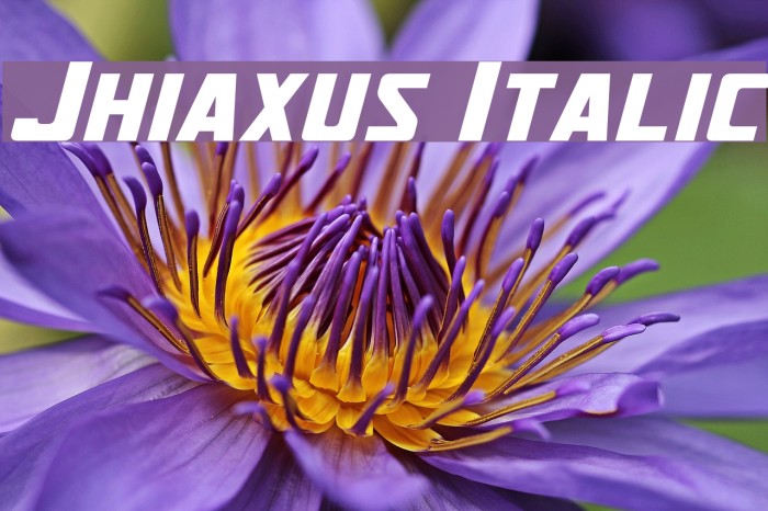 Jhiaxus Italic Font examples