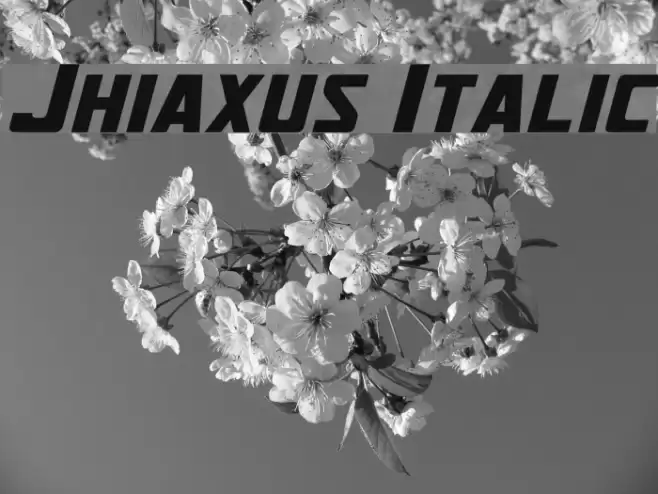 Jhiaxus Italic Font examples
