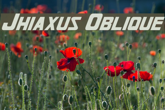 Jhiaxus Oblique Font examples