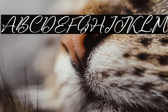 Jhoey Washington Example 3