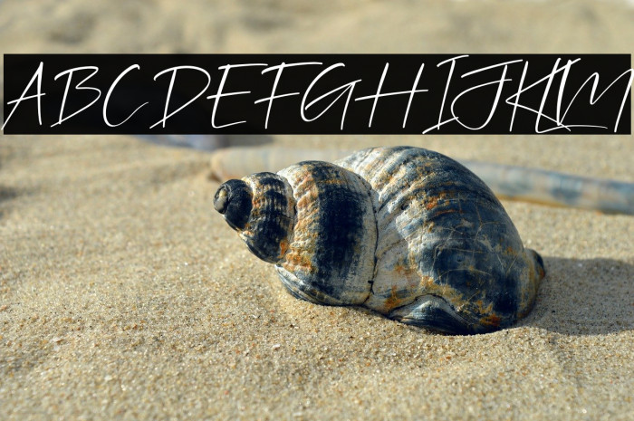 Jhollie Elisha Italic Example 1