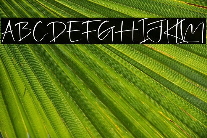 Jhollie Elisha Example 3