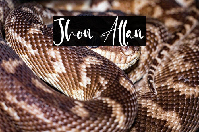 Jhon Allan Example 1