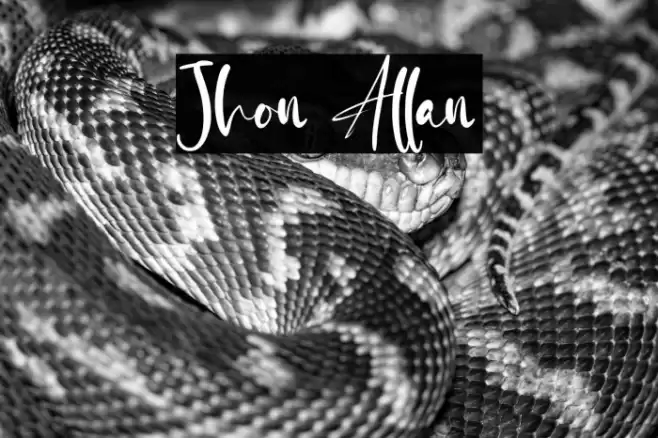 Jhon Allan Font examples