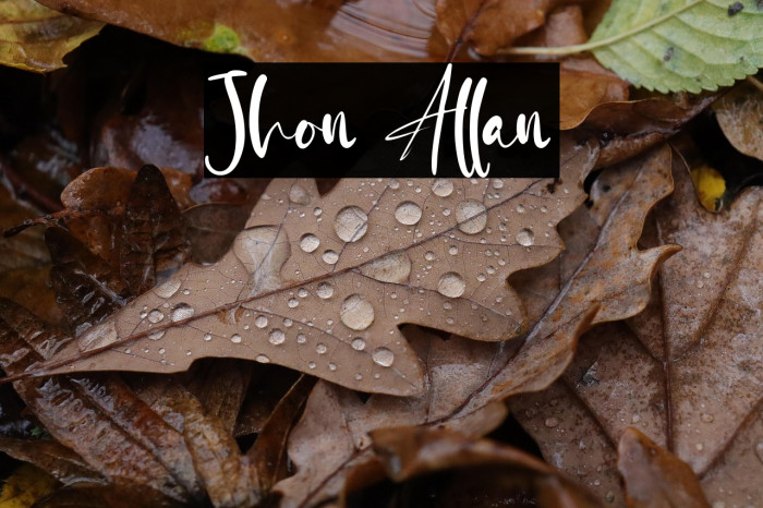 Jhon Allan Example 2