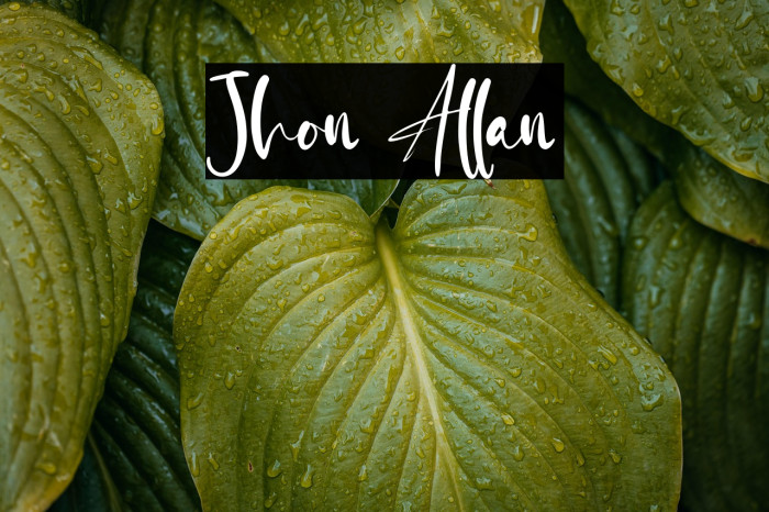 Jhon Allan Example 3