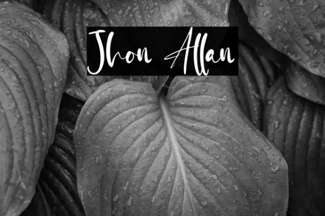 Jhon Allan Font examples